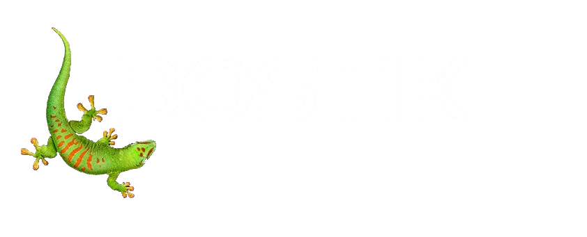 Logo_BOSTIK_white (1)